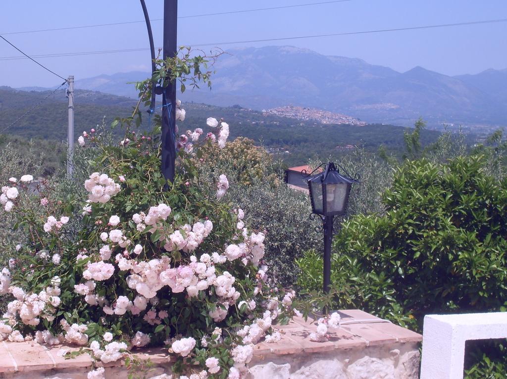 B&B H.M. Sonnino Dış mekan fotoğraf